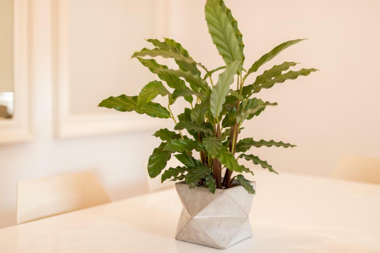 Alfama Modern Two-Bedroom Apartment W/ River View And Parking - By Lu Holidays Lisbona Esterno foto